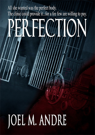 Perfection — Book One cover